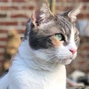 Meet your Posher, Mai